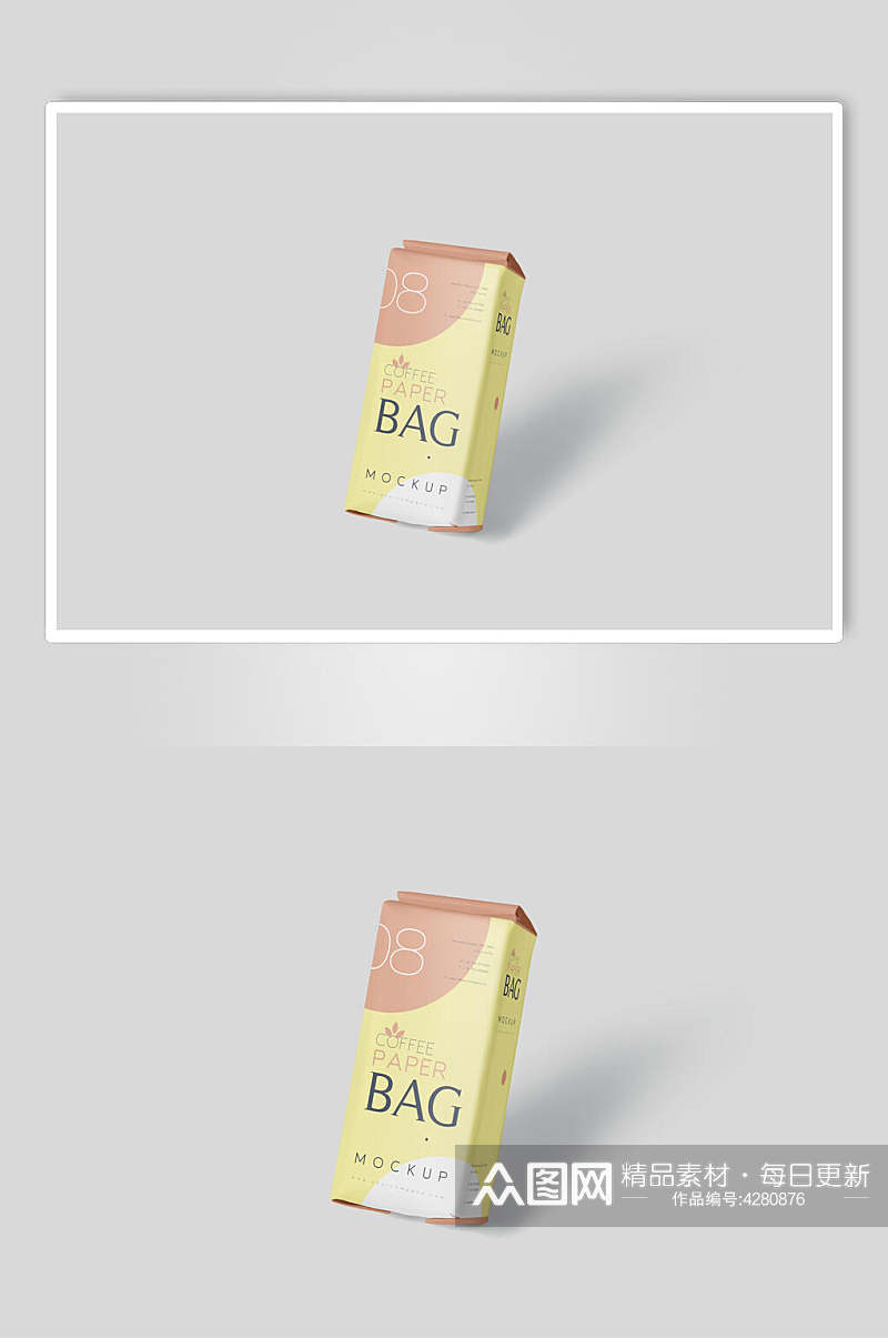 BAG零食包装设计素材