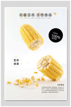 玉米美食餐饮海报