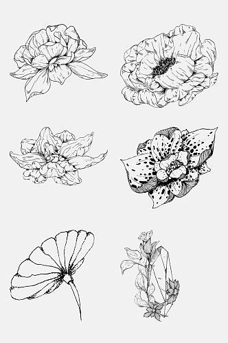 花朵高端创意黑花卉简笔画免抠素材
