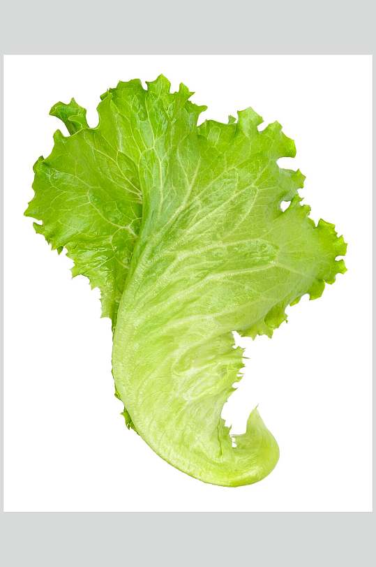 新鲜蔬菜生菜海报图片-新鲜蔬菜生菜海报设计素材-新鲜蔬菜生菜海报