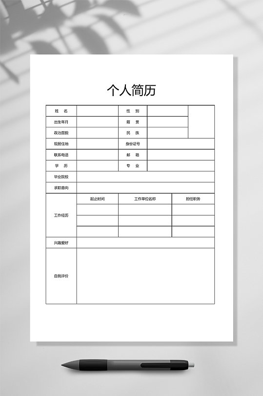 个人简历表格简历WORD