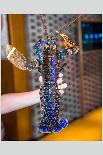 蓝色龙虾食品高清图片
