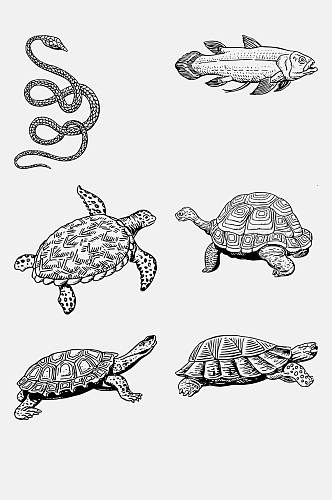 极简乌龟手绘线稿动物免抠素材