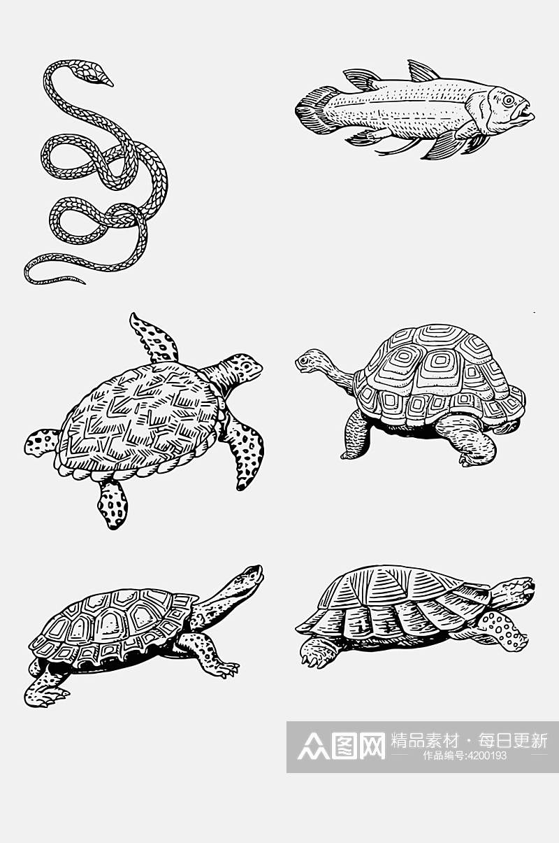 极简乌龟手绘线稿动物免抠素材素材