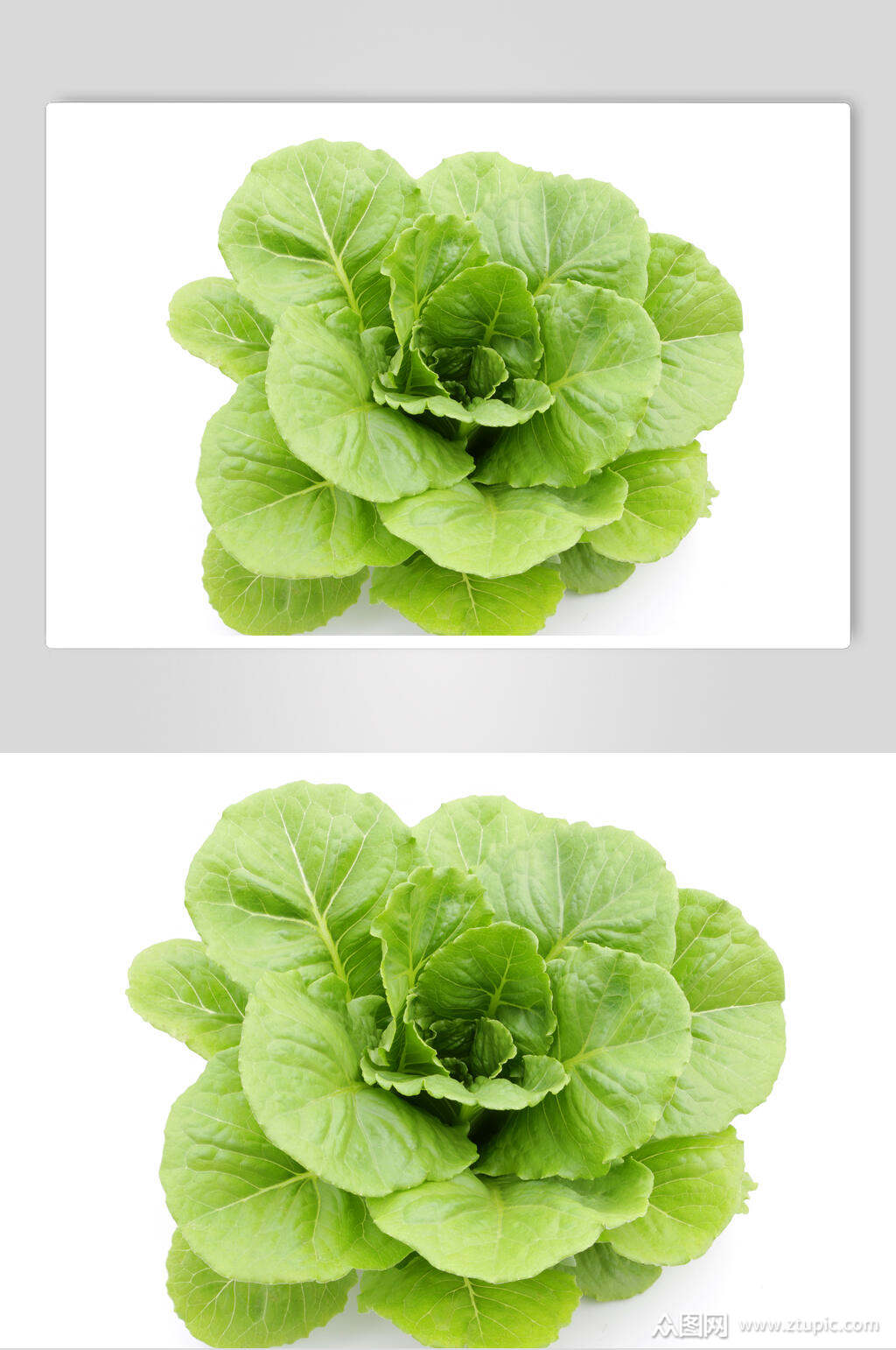 创意青菜蔬菜图片素材