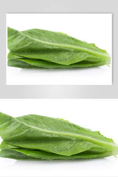 绿色油麦菜蔬菜图片