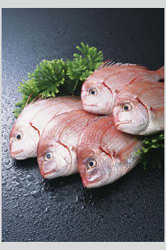 新鲜美味红鱼海鱼图片