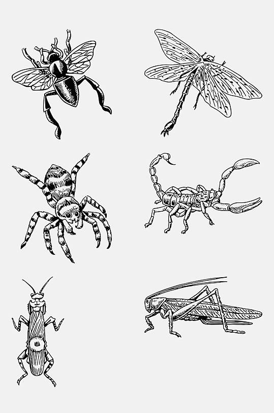 大气蜘蛛手绘线稿动物免抠素材