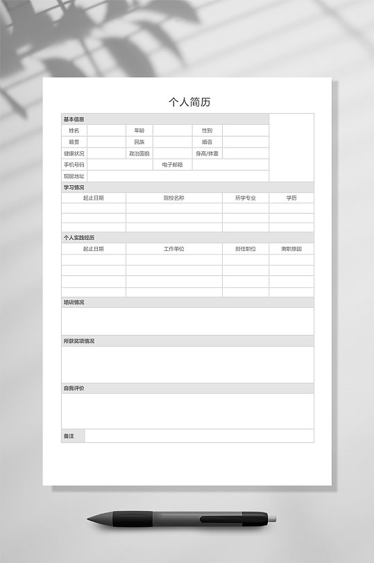 个人简历表格简历WORD