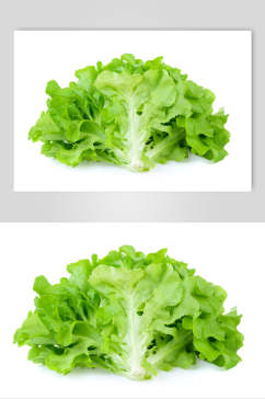 有机生菜蔬菜图片