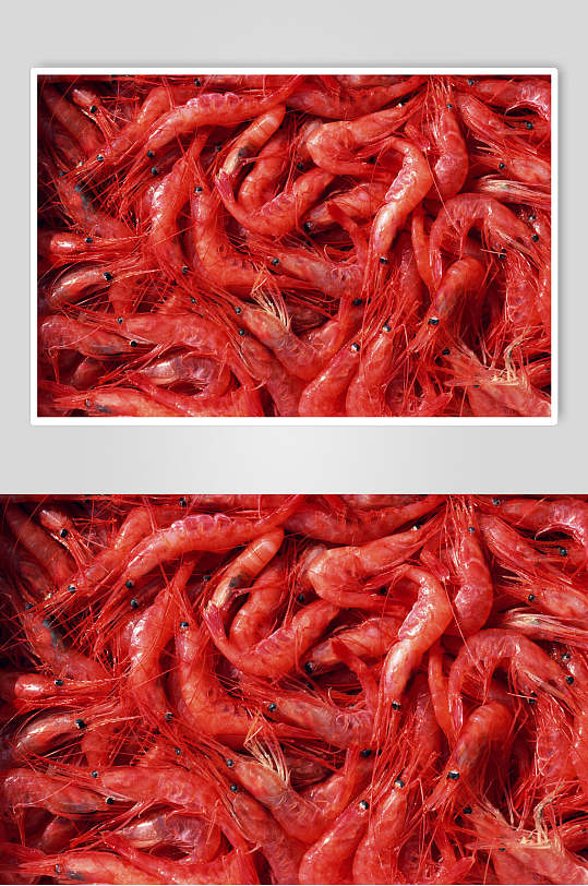 红色美味基围虾图片