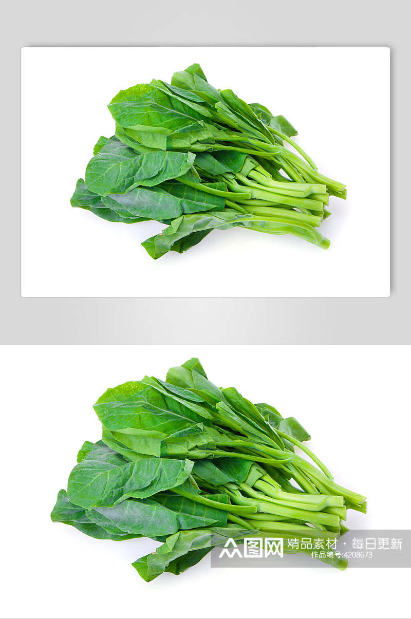 新鲜芥蓝蔬菜图片素材