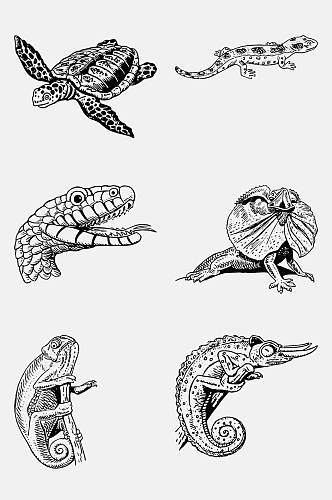 大气海龟手绘线稿动物免抠素材