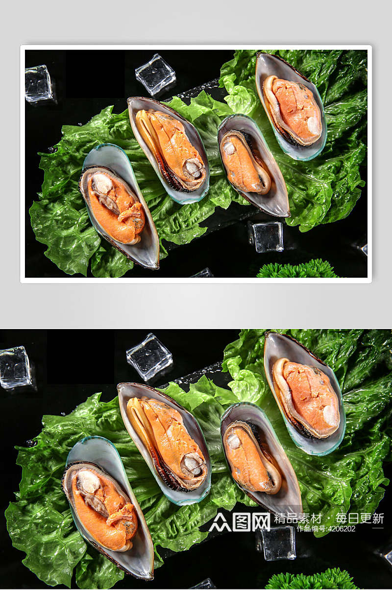 新鲜美味蛤喇图片素材