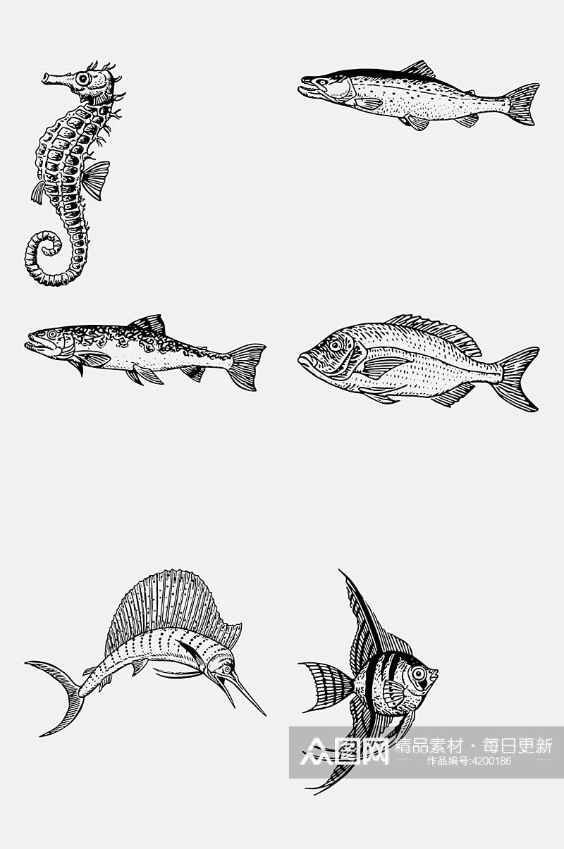 创意大气鱼手绘线稿动物免抠素材素材