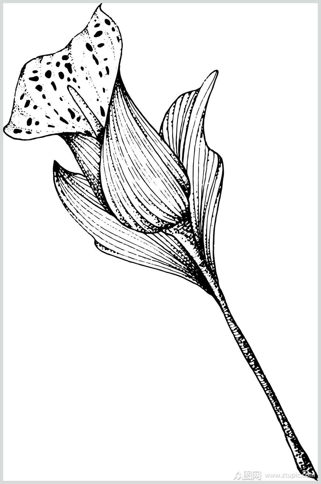 线条黑创意大气简约花卉简笔画素材素材