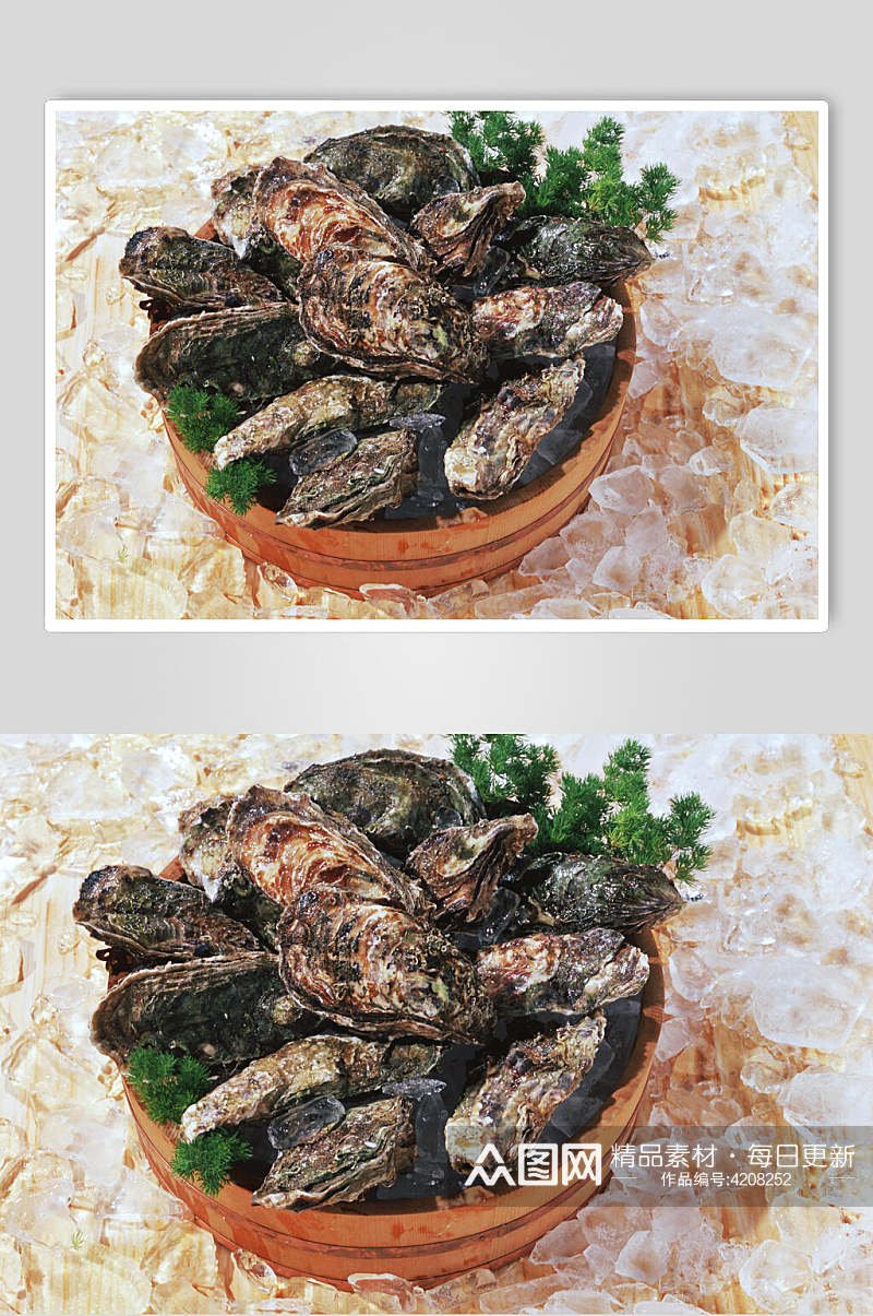 盆子牡蛎图片素材