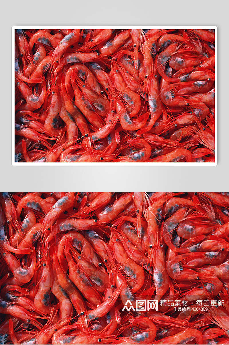 红色基围虾图片素材