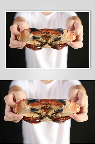 创意面包蟹食品高清图片