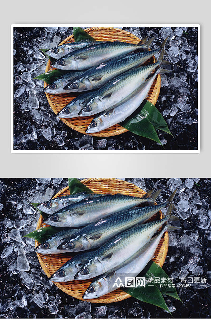 新鲜美味海鱼食品摄影图片素材