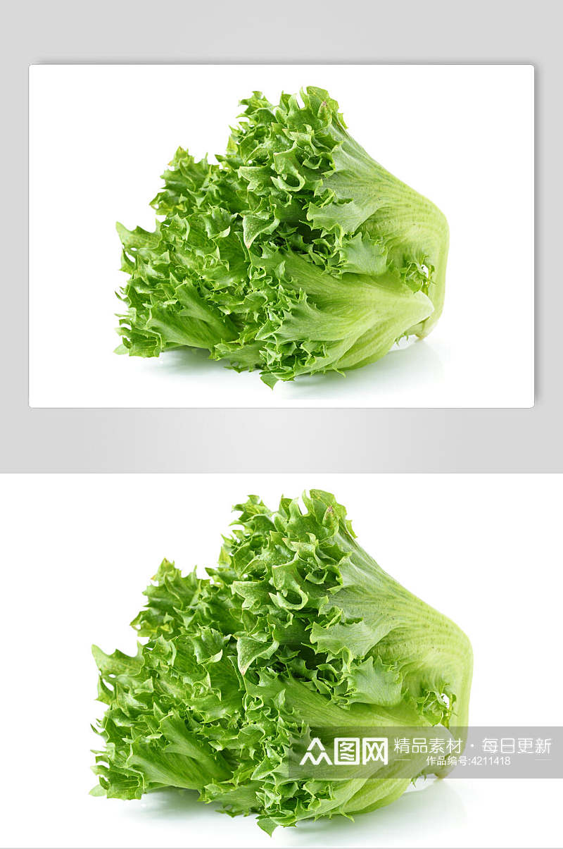 清新有机生菜蔬菜摄影图片素材