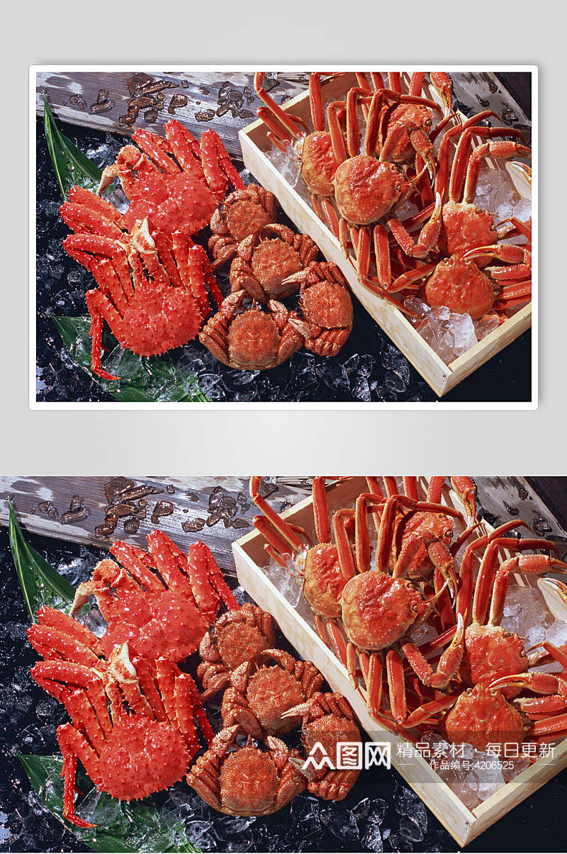 高端帝王蟹食品高清图片素材