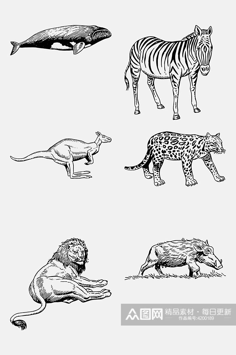 大气狮子手绘线稿动物免抠素材素材