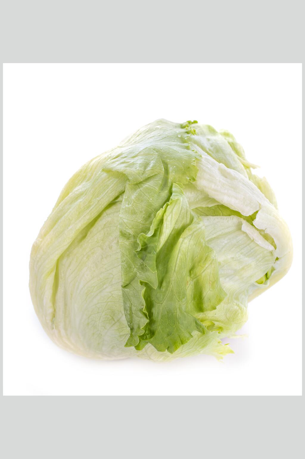 精品生菜蔬菜实拍图片素材