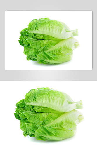 创意四季新鲜生菜蔬菜图片