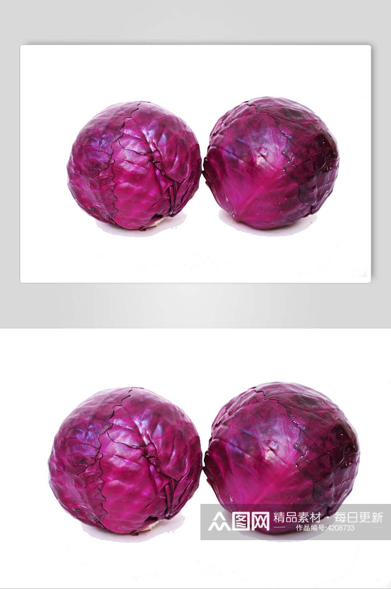 两个紫甘蓝蔬菜图片素材