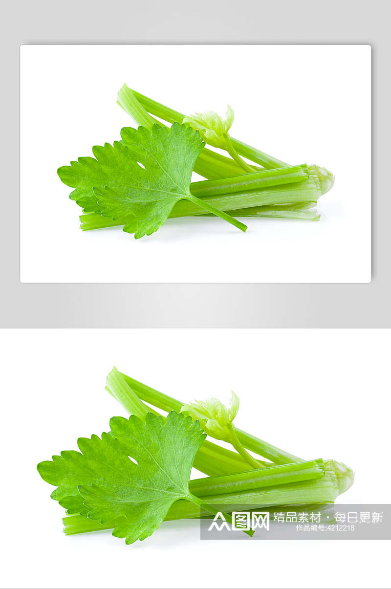 叶子西芹蔬菜图片素材