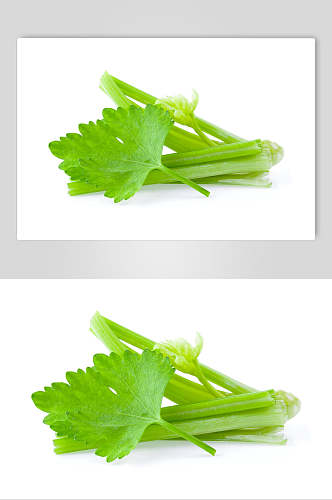 叶子西芹蔬菜图片