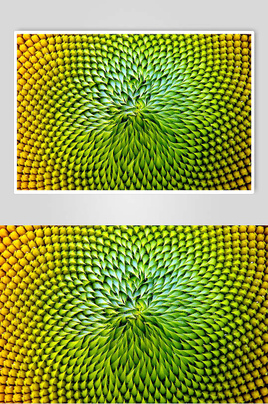 时尚唯美几何立体图片