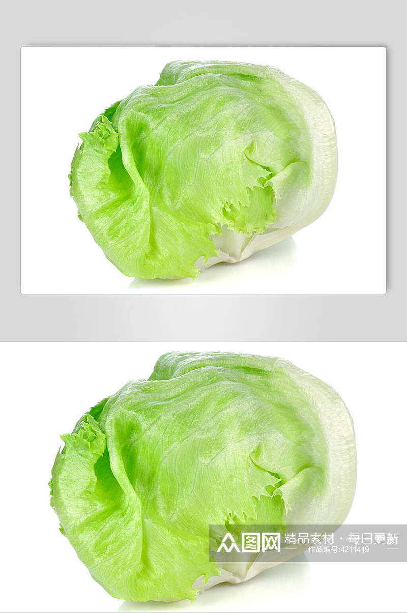 新鲜生菜蔬菜图片素材