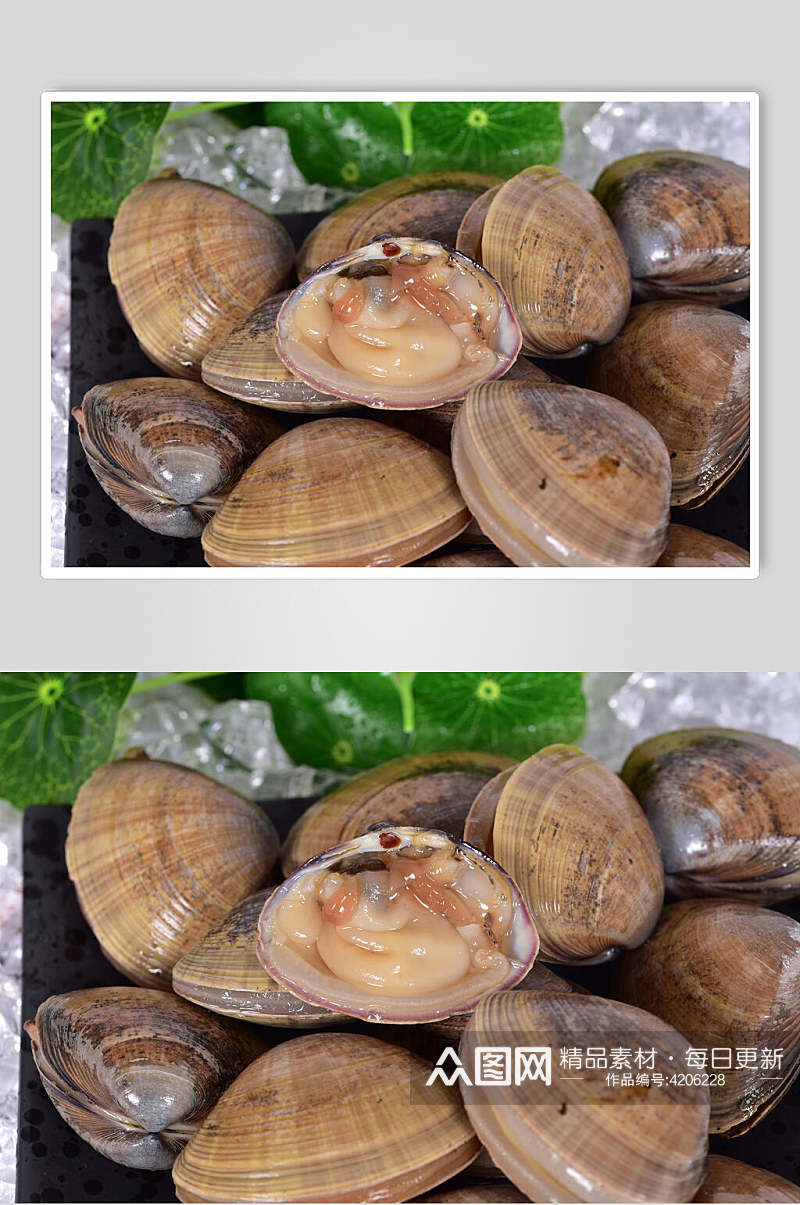新鲜美味海鲜蛤喇图片素材