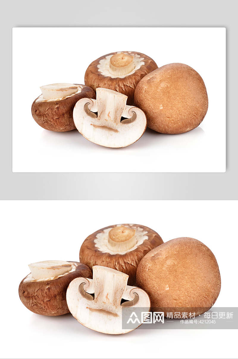 白底香菇蘑菇蔬菜高清摄影图片素材