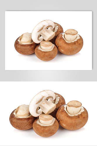 黄色蘑菇蔬菜图片