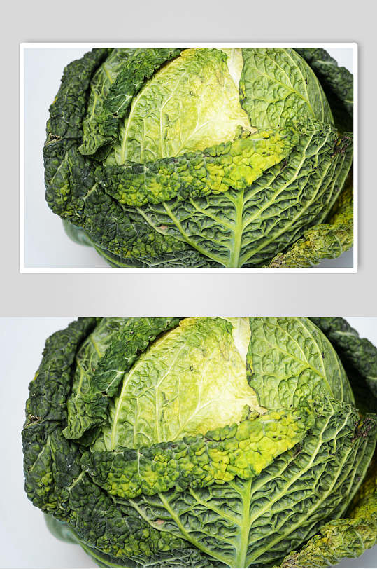 创意大气卷芯白菜蔬菜图片
