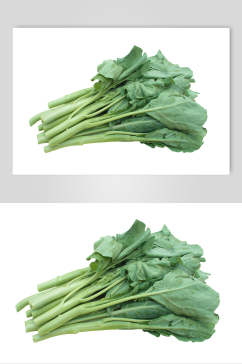 一把芥蓝蔬菜图片