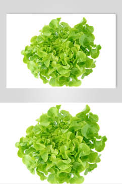 清新素菜生菜蔬菜摄影图片