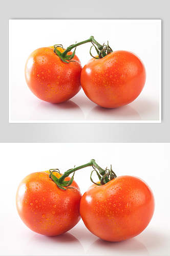高端新鲜西红柿西红柿蔬菜图片