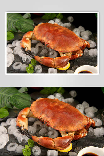 招牌面包蟹食品高清图片