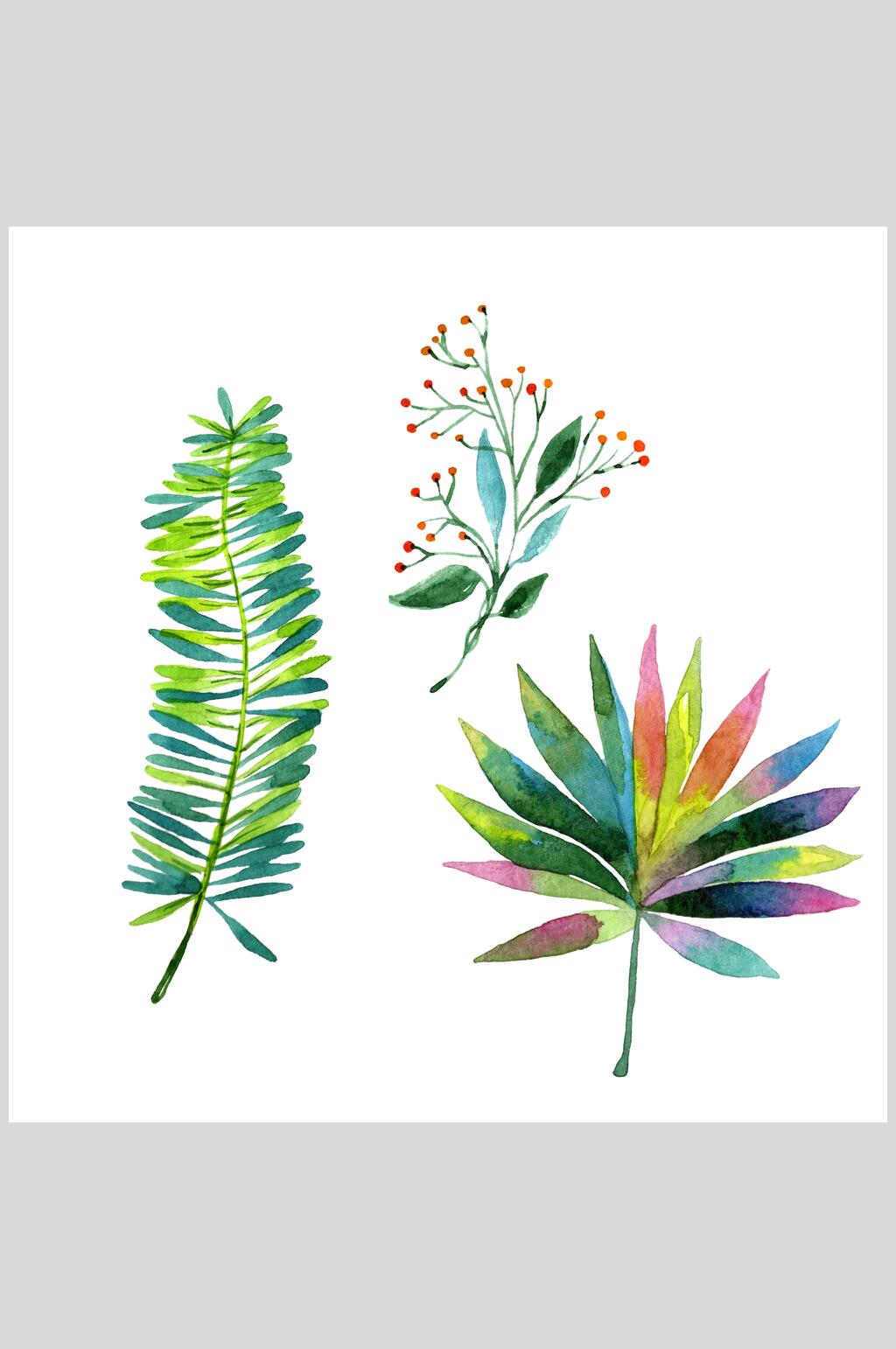 白底水彩树叶图片素材
