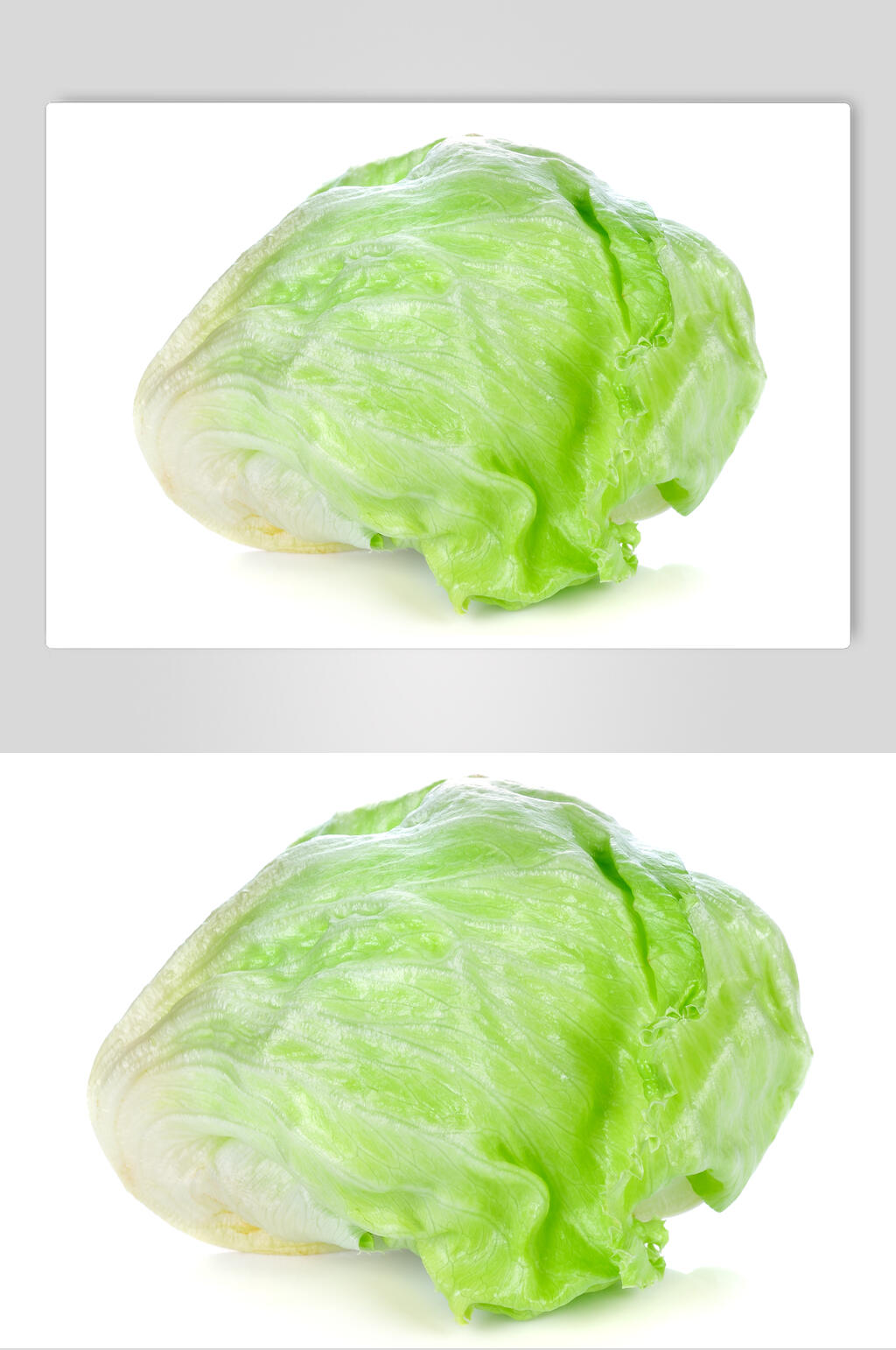 四季奶油生菜蔬菜图片素材
