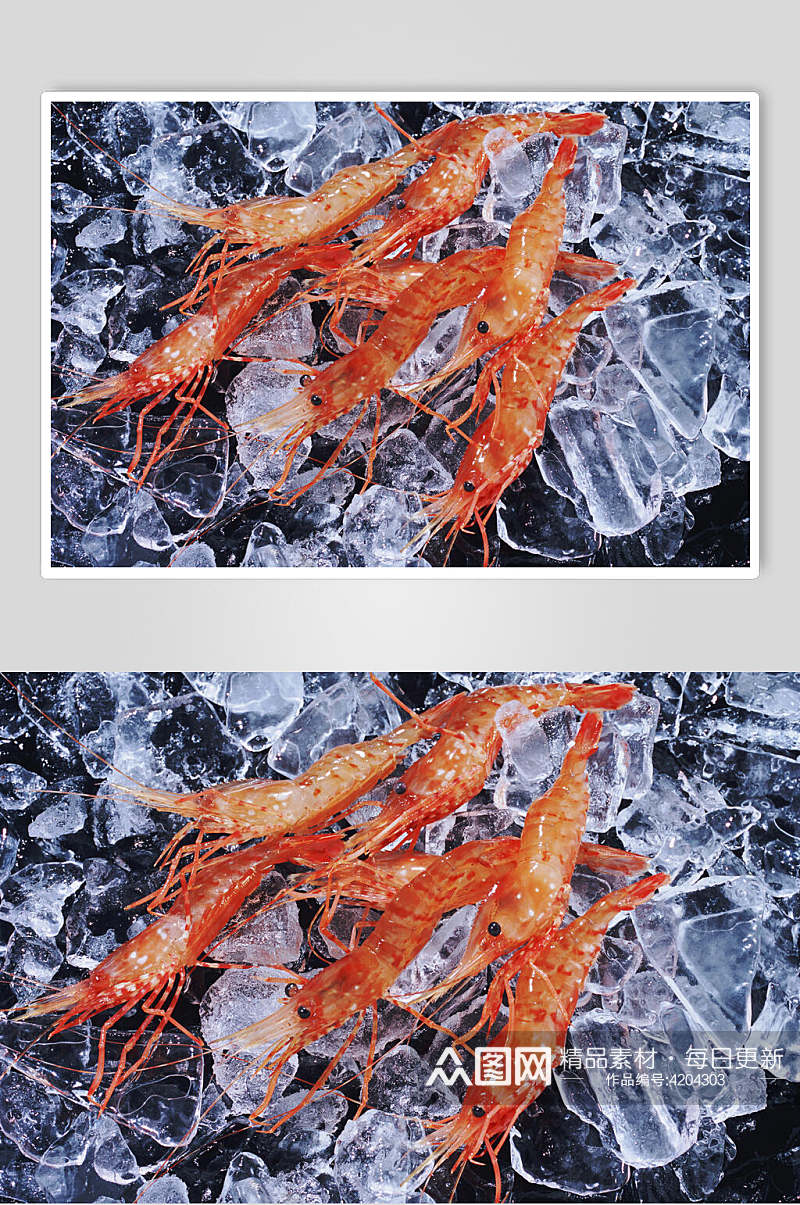 冰块基围虾图片素材