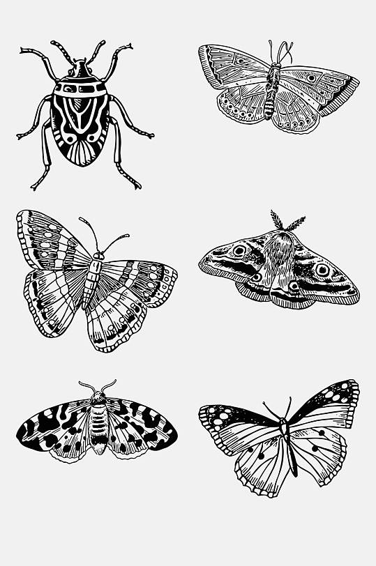 极简蝴蝶手绘线稿动物免抠素材