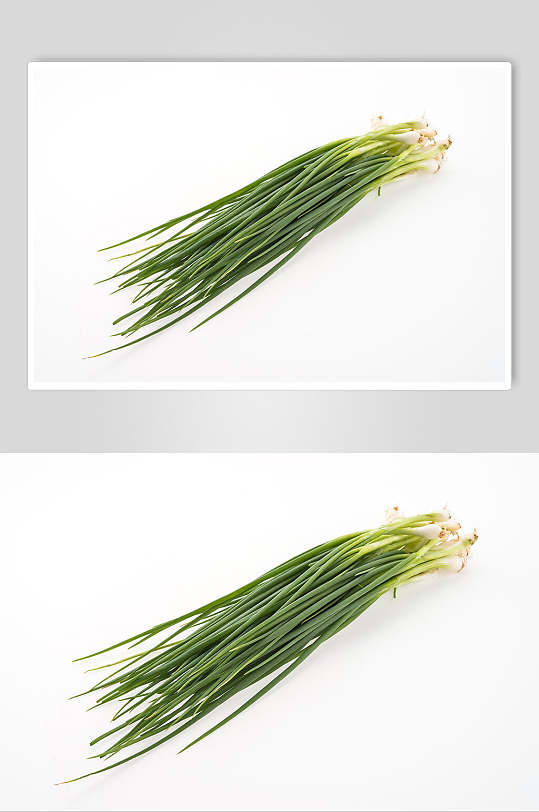 小根的香葱蔬菜图片