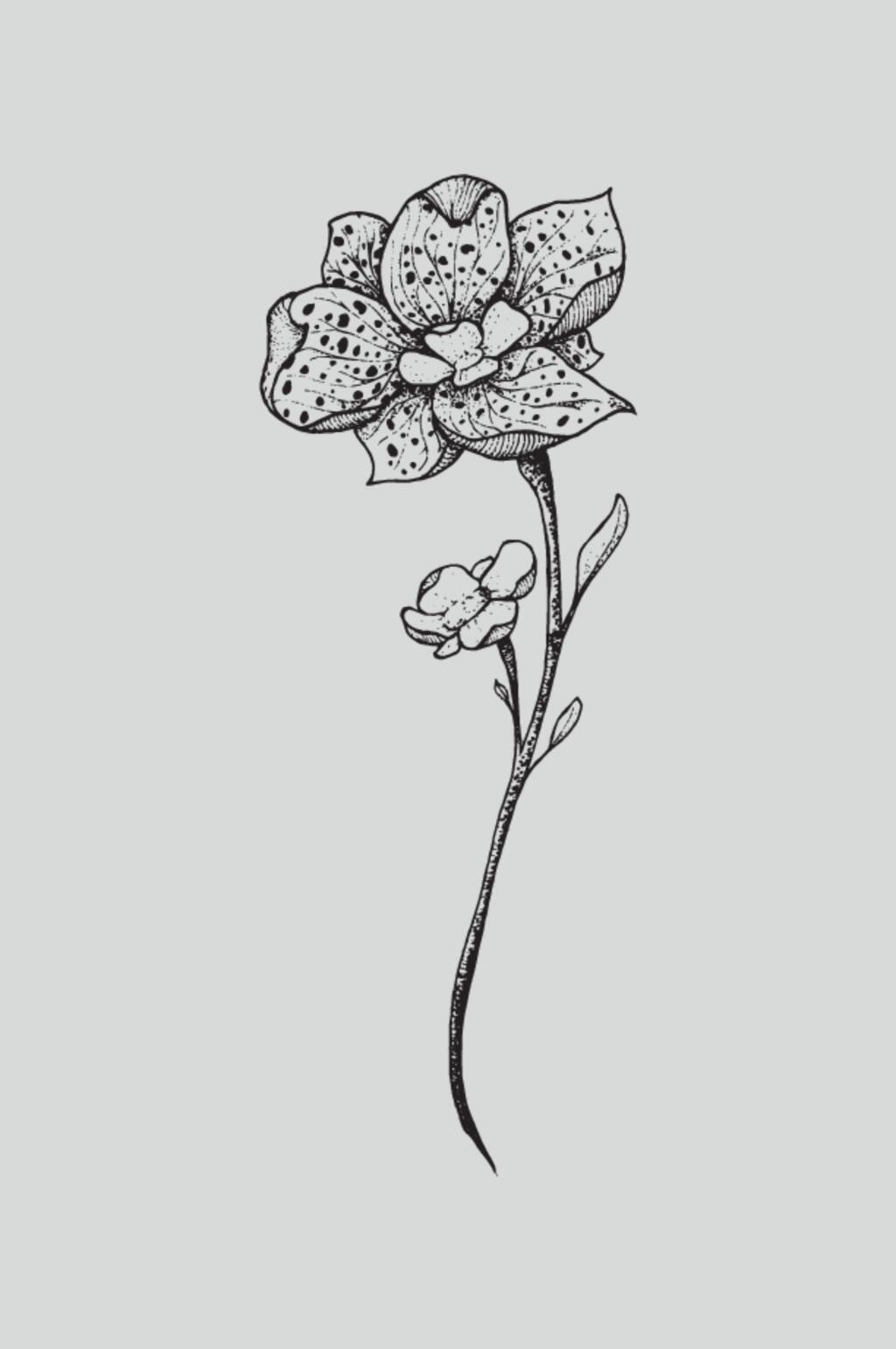 简约清新高端大气花卉简笔画素材素材