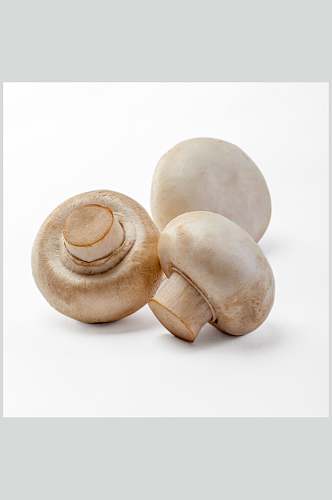 三个白蘑菇蔬菜图片