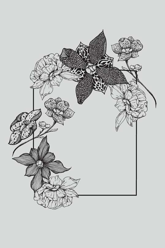 简约线条花卉图片-简约线条花卉素材下载-众图网